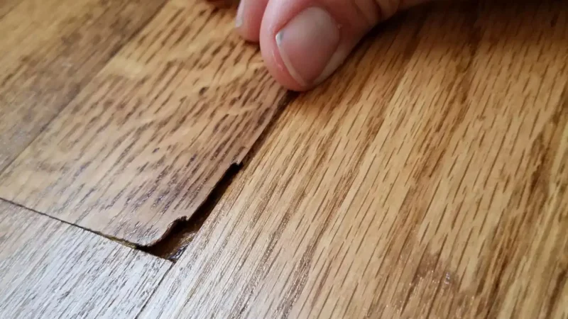 splinter issues splinter issues