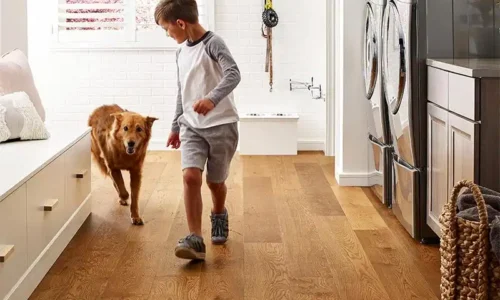 LVP, Laminate Installation by WC Floors Flooring Contractor in NJ LVP, Laminate installation by WC Floors Flooring Contractor in NJ